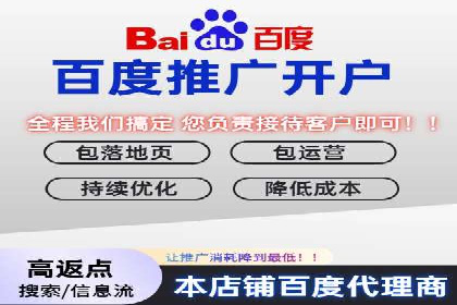 百度SEO推广公司案例剖析：助力企业提升排名